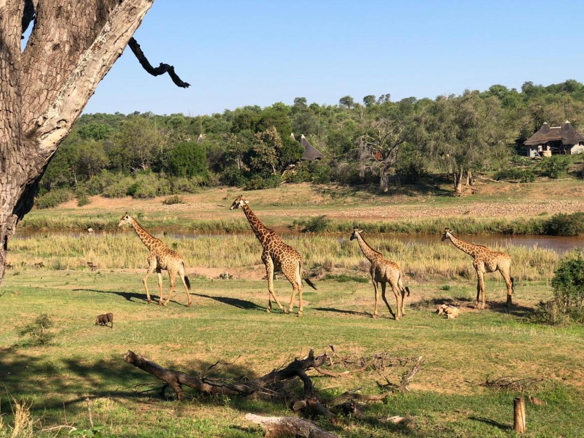 Emhosheni River Lodge Balule Game Reserve Exterior photo